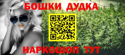 индика Краснознаменск